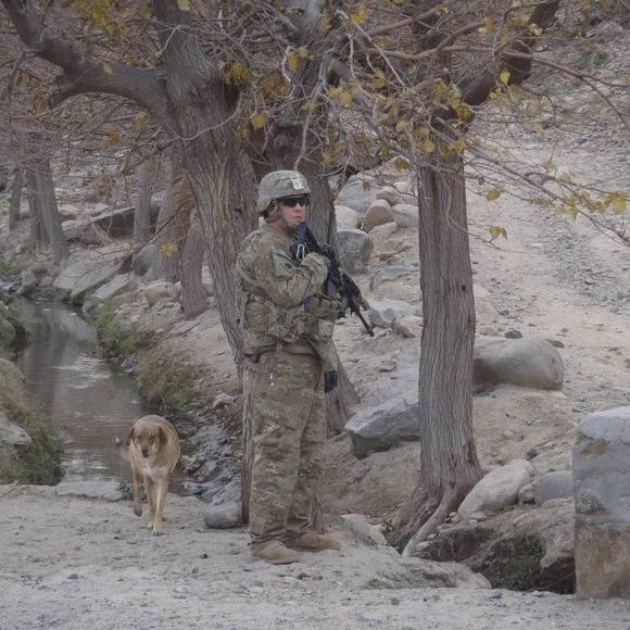 Meet your Posher, Joshua - Picture 1 of 1